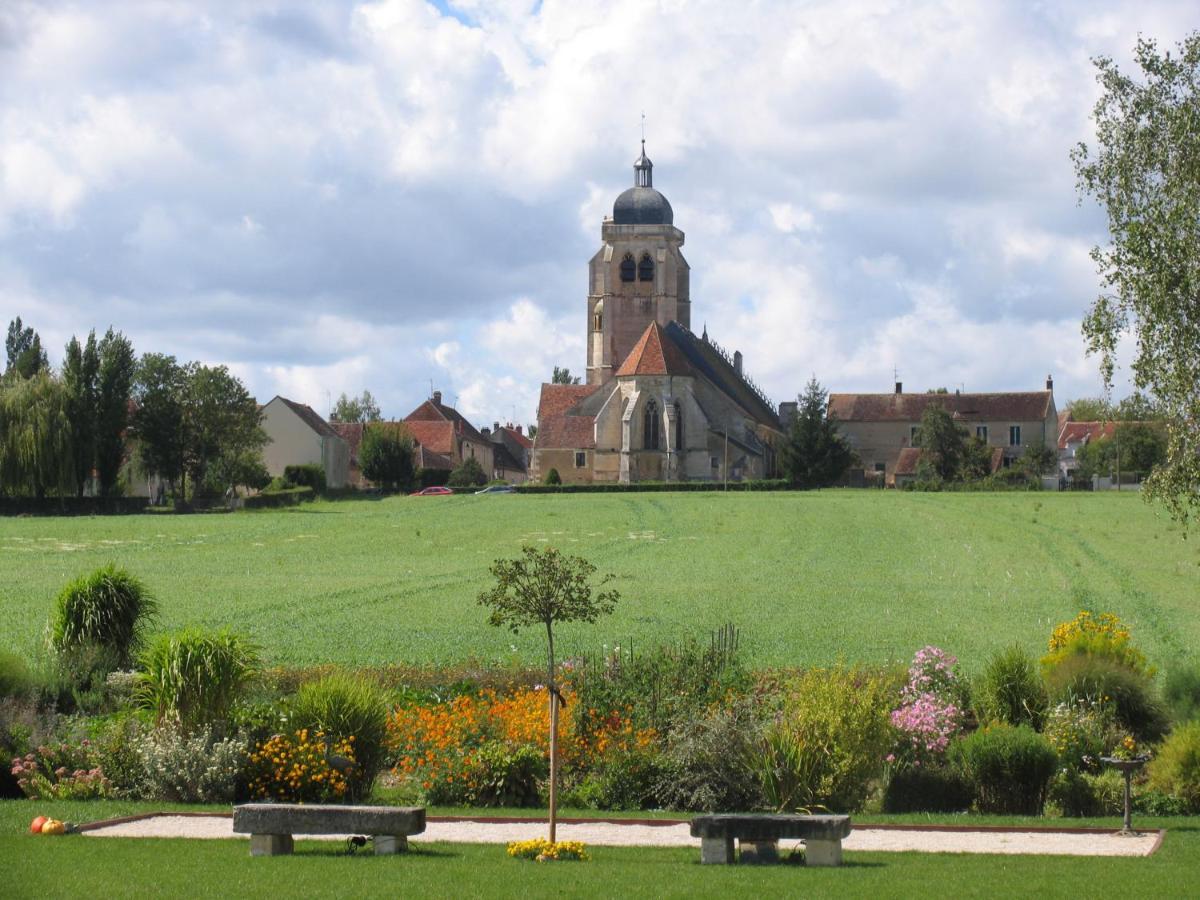 Chateau De Ribourdin Chevannes  Kültér fotó