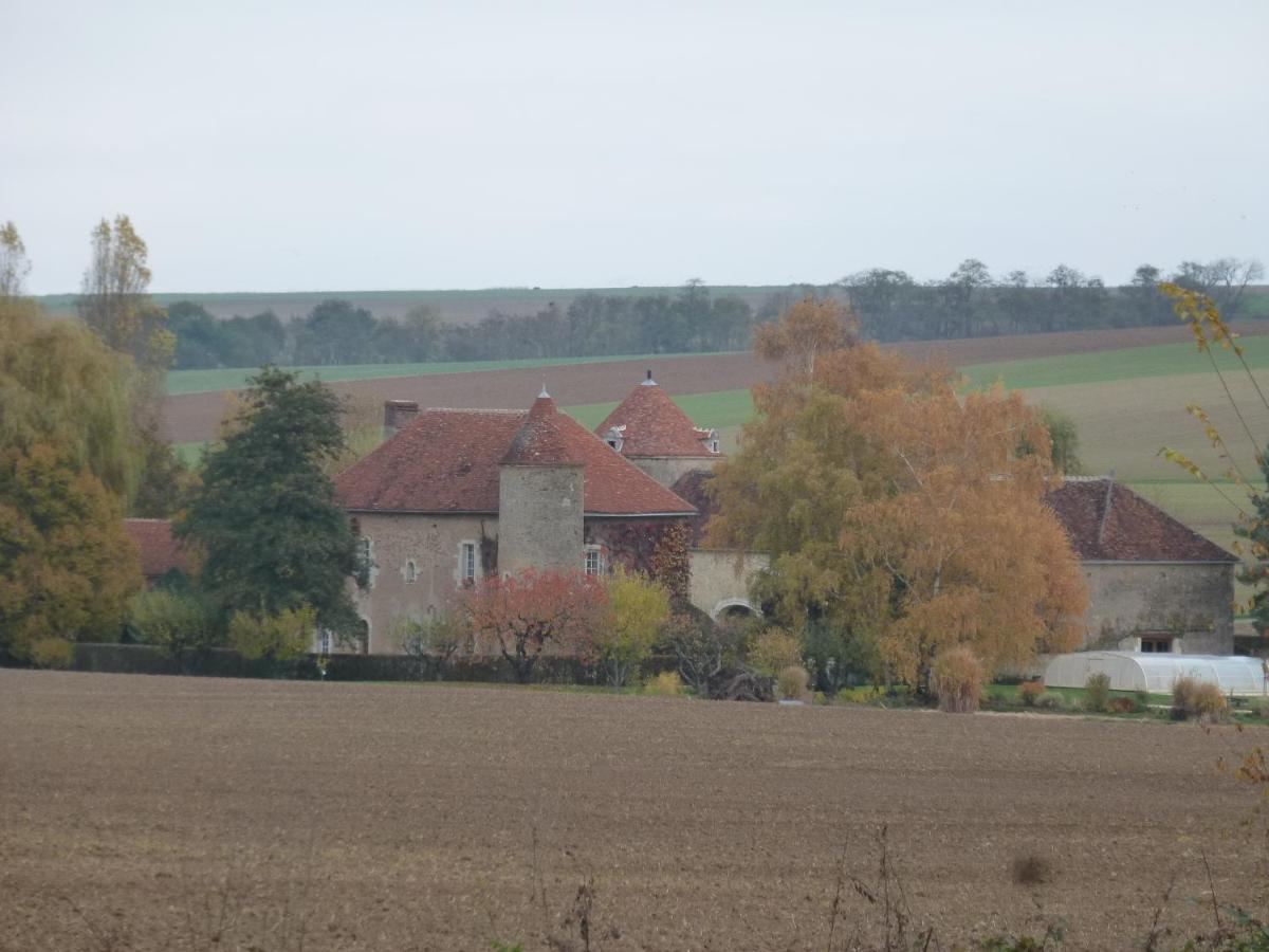 Chateau De Ribourdin Chevannes  Kültér fotó